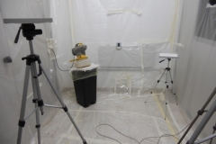 EFFICACY OF A NEBULIZED INSECTICIDE IN A 20 M3 ROOM